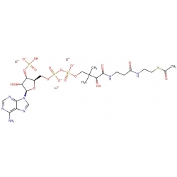 Acetylokoenzym A, sól litowa [32140-51-5]